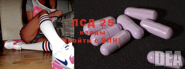 спайс Пересвет