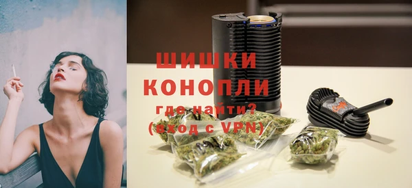 спайс Пересвет
